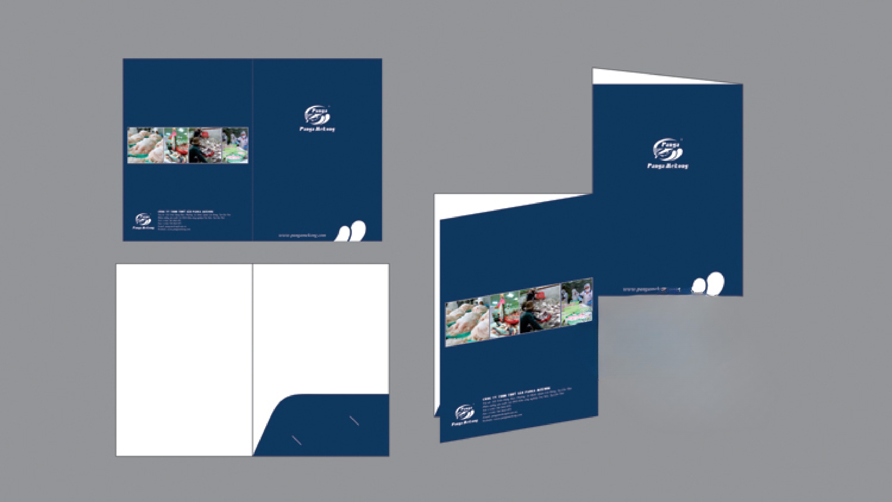Folder 03-01